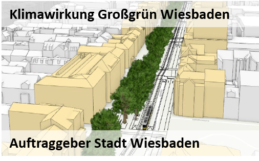 Klimawirkung Großgrün in Wiesbaden am Beispiel der Rheinstraße 2020